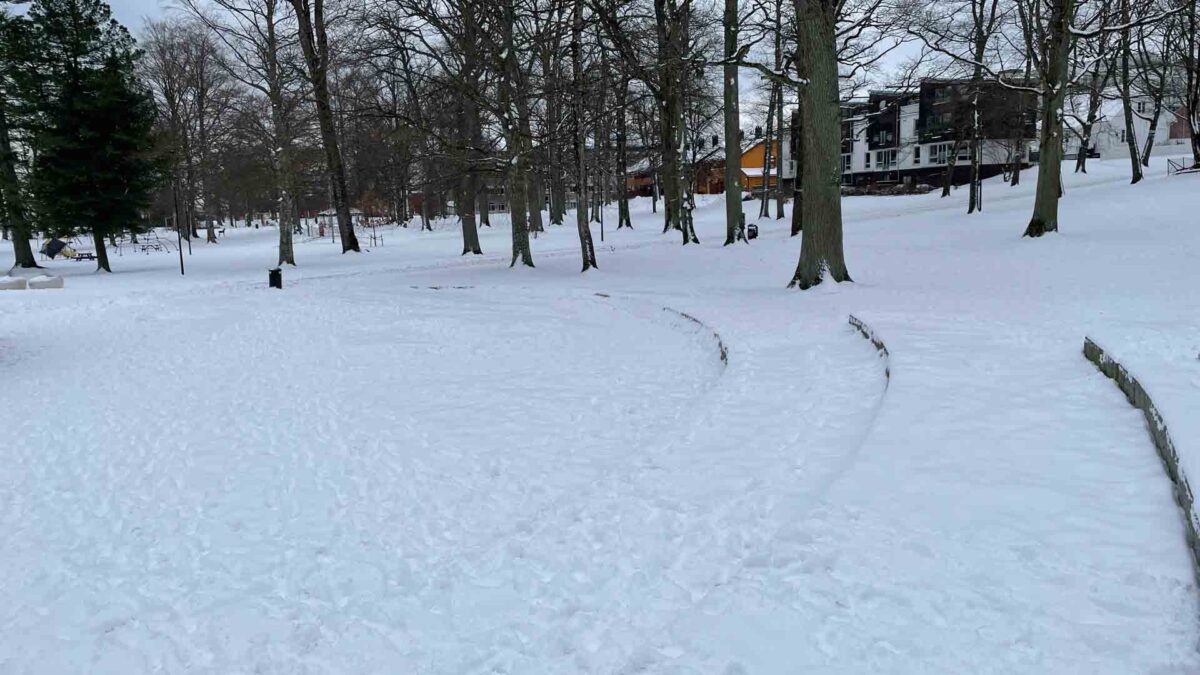 Lystlunden-Park-Urban-Utebane-2022-00271 — Lystlunden Park 2022 – Kunstisbane i Horten